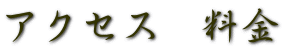アクセス 料金